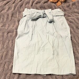 Elegant Light Blue Women's Skirt